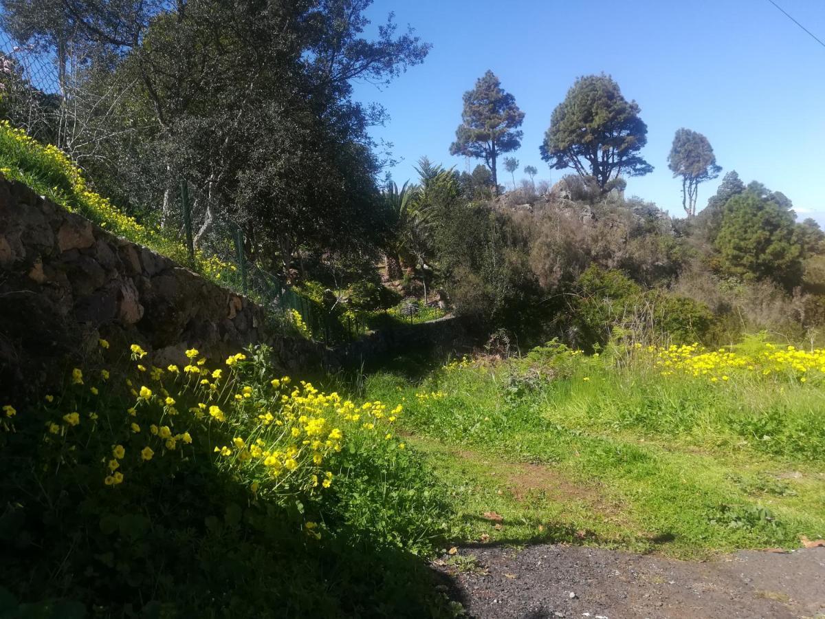 La Campana De Arriba Daire La Guancha Dış mekan fotoğraf