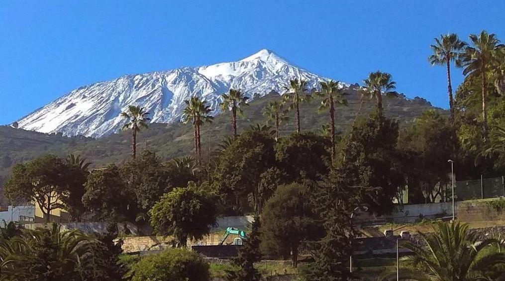 La Campana De Arriba Daire La Guancha Dış mekan fotoğraf